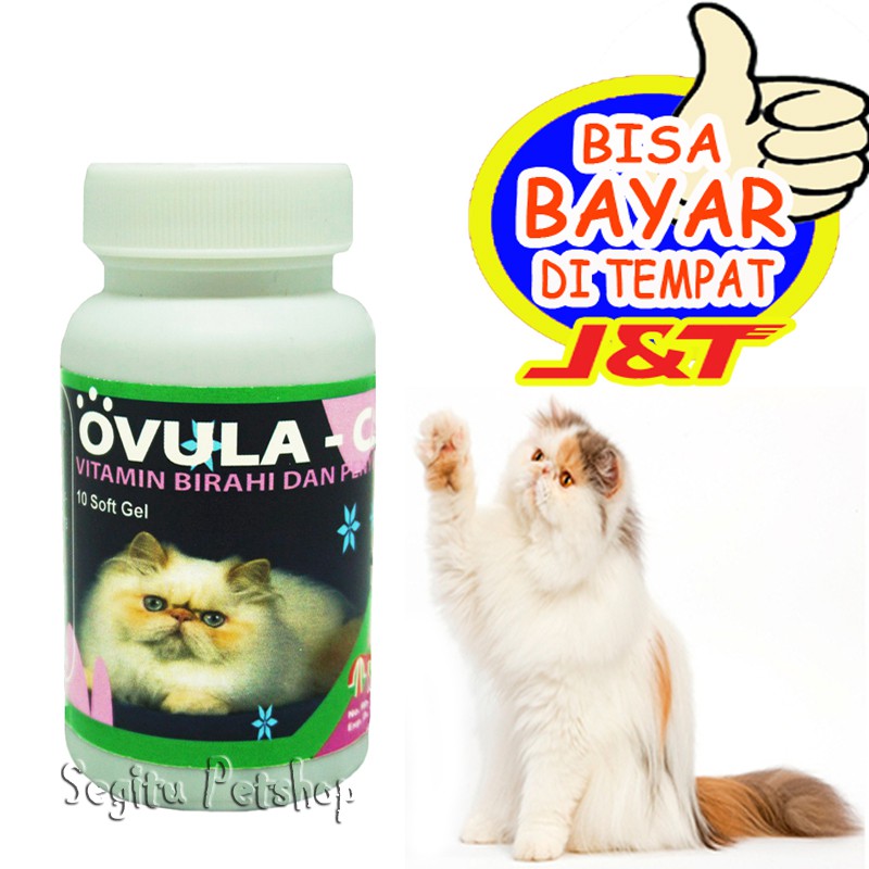 Obat Vitamin Kucing Susah Kawin Birahi Penyubur Ovula Cat