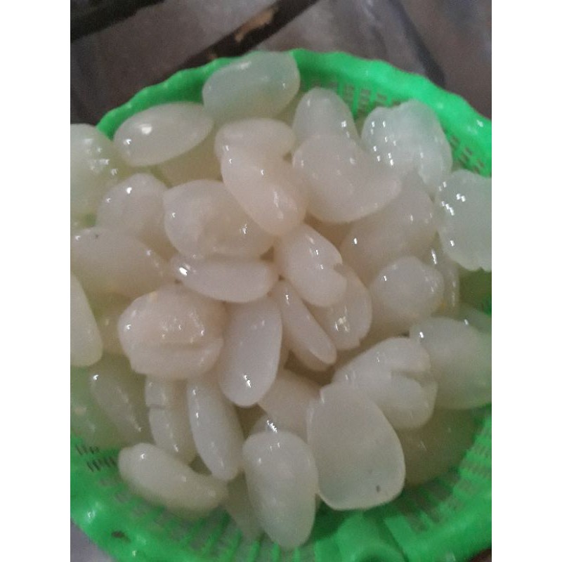 

kulangkalingasliseger