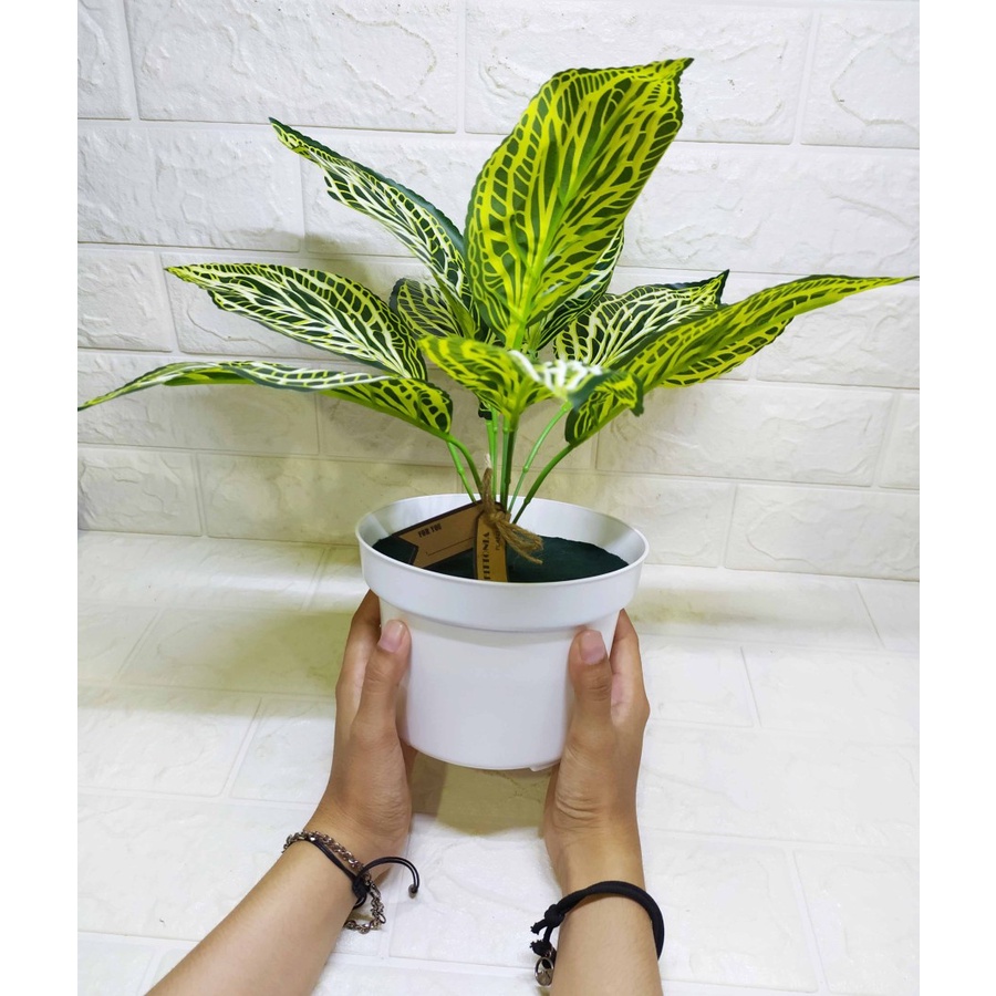 Gogreen Pot Monstera Cantik Tanaman Imitasi Pajangan Dekorasi Hiasan