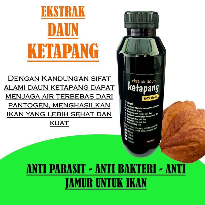 Ekstrak Daun Ketapang 100ml Untuk Ikan Chana Cupang Dll