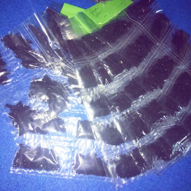 Jintan jinten hitam asli original