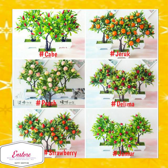 ES390 Tanaman  Hias  Bonsai Pohon Buah BUNGA HIAS Shopee  