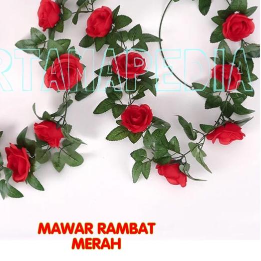♥ Mawar Rambat Gantung/ Mawar Rambat Dekor / Mawar Rambat Hiasan. ◌