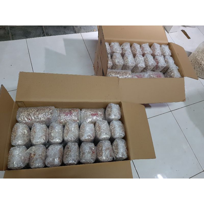 KACANG MEDE METE REMUKAN MENTAH ASLI WONOGIRI 1 KG