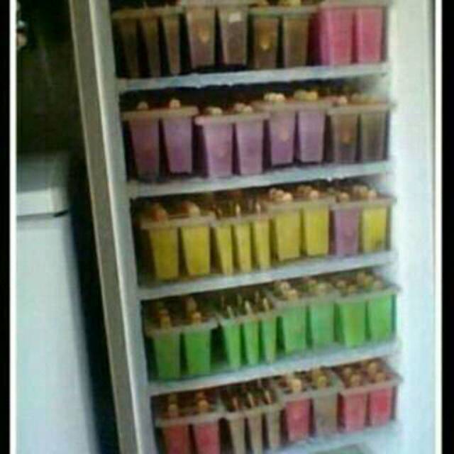 

Bahan Ice Cream Loly