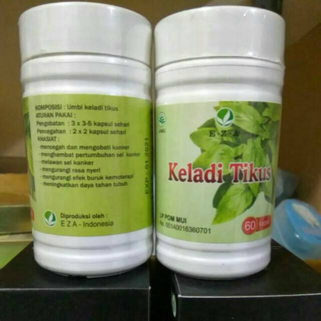 Kapsul Keladi Tikus Herbal Alami Muricata Kapsul Shopee Indonesia