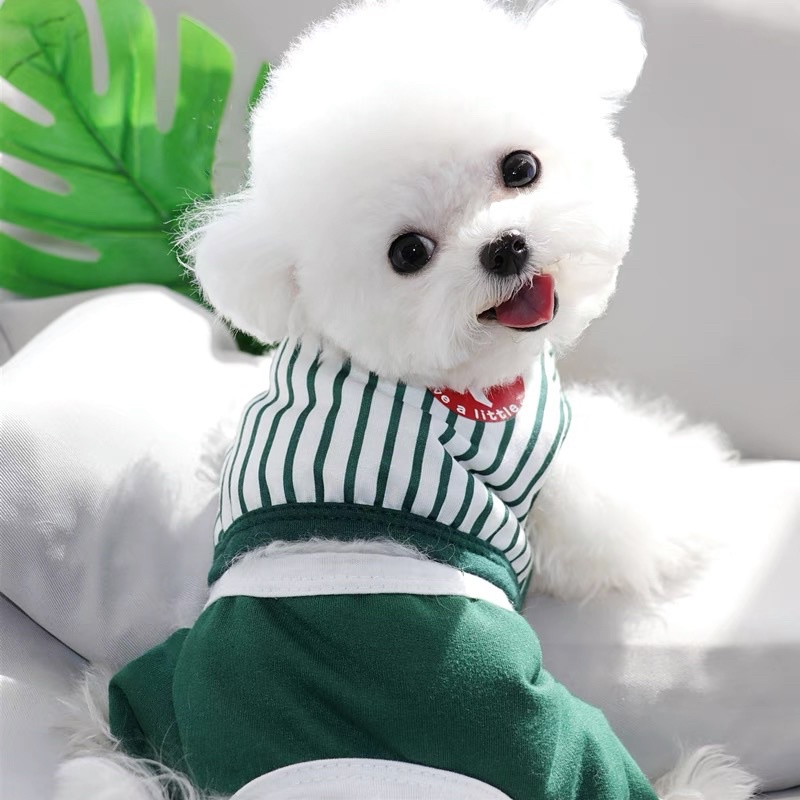 LITTLE PETS KOREA JUMPER