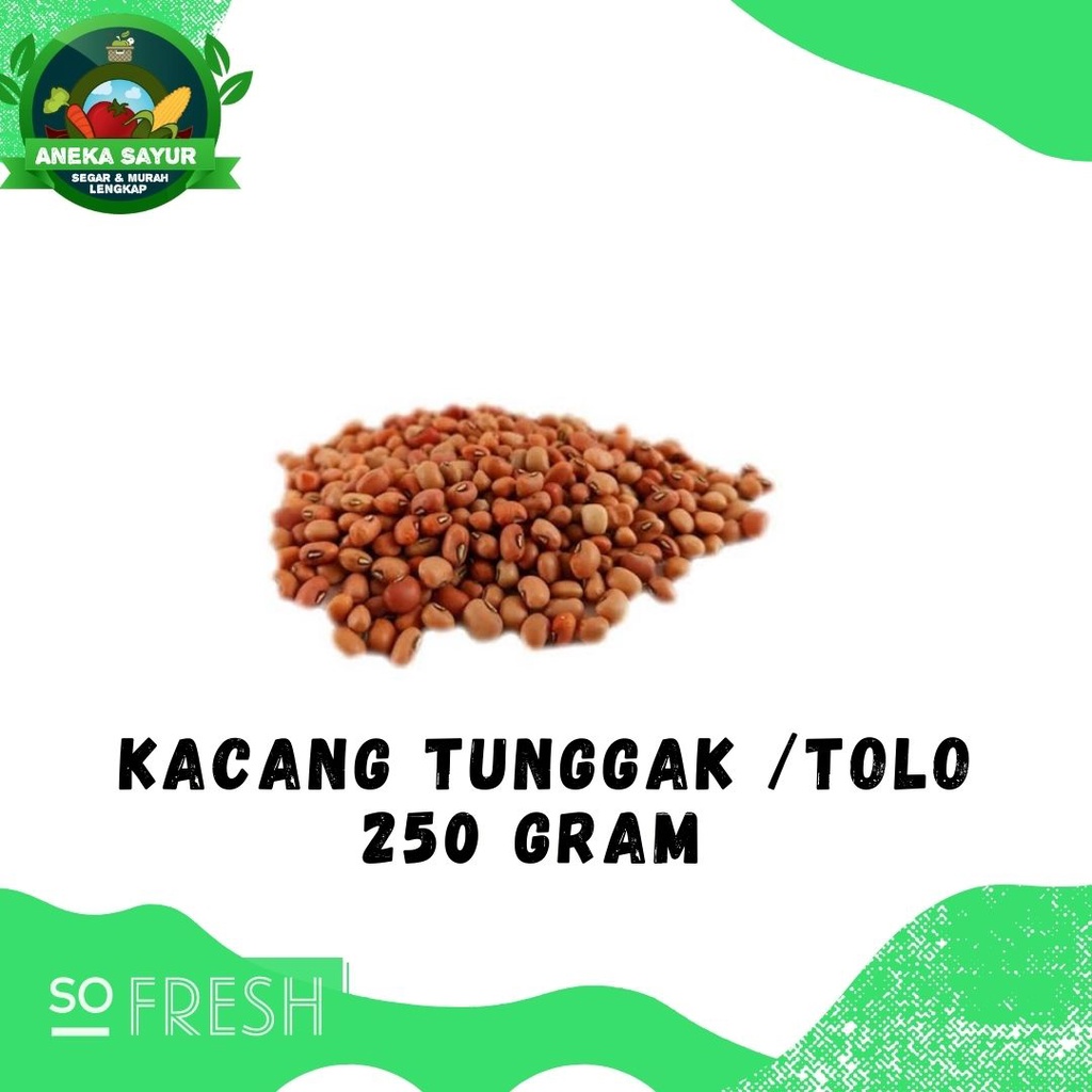 

Kacang Tunggak Atau Kacang Tolo