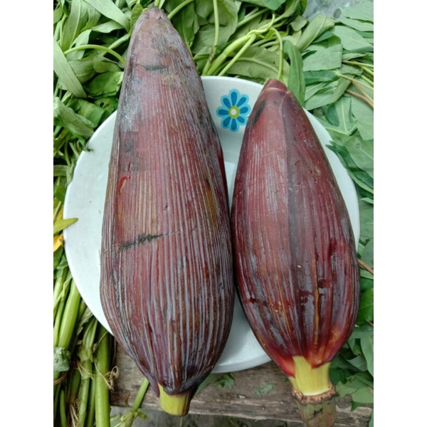 

jantung pisang