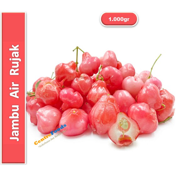 

Jambu Air Merah - Rujak | 1.000gr [ Harga Per KG ]