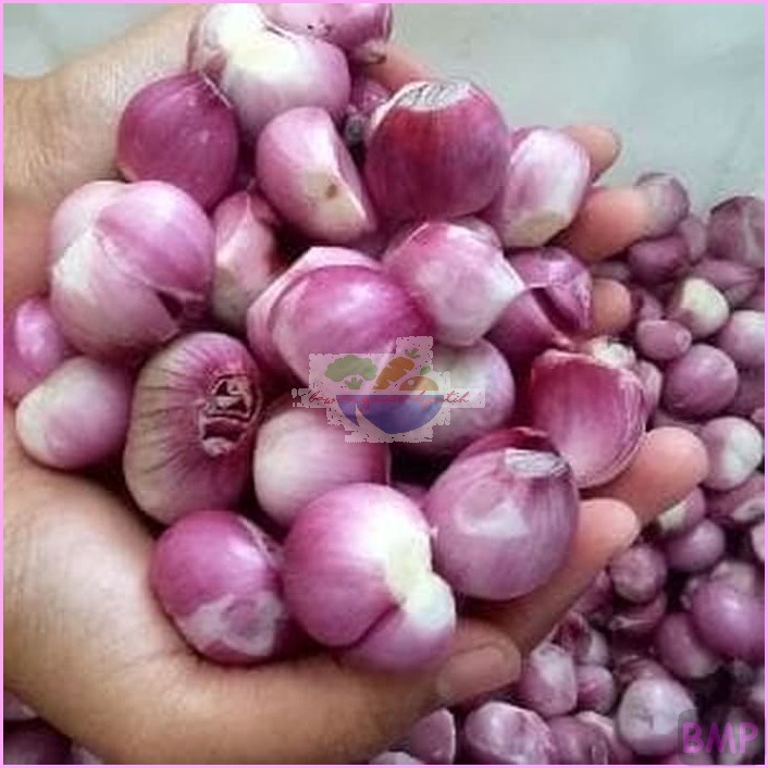 

BAWANG MERAH KUPAS BAWANG PUTIH KUPAS 1Kg 1 Kg BREBES MURAH