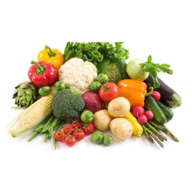 PAKET 15 JENIS BIBIT SAYURAN BENIH SAYURAN HIDROPONIK F1