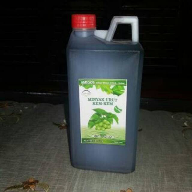 MINYAK URUT DAUN JARAK