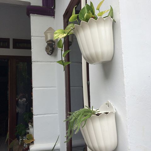 pot bunga tempel/dinding warna warni (ukuran pabrik 25)