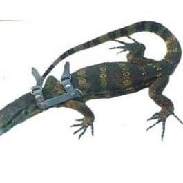 QVRE Mini harness H tali tuntun hewan kecil pengikat sugar glider reptil musang tupai bajing kekang 