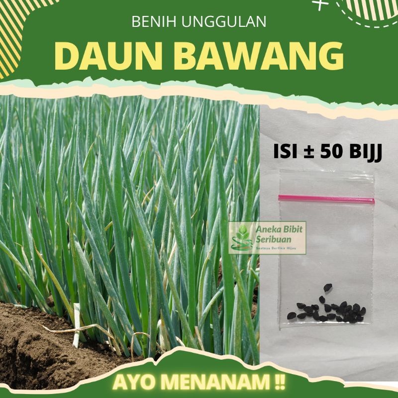 Benih Daun Bawang unggulan