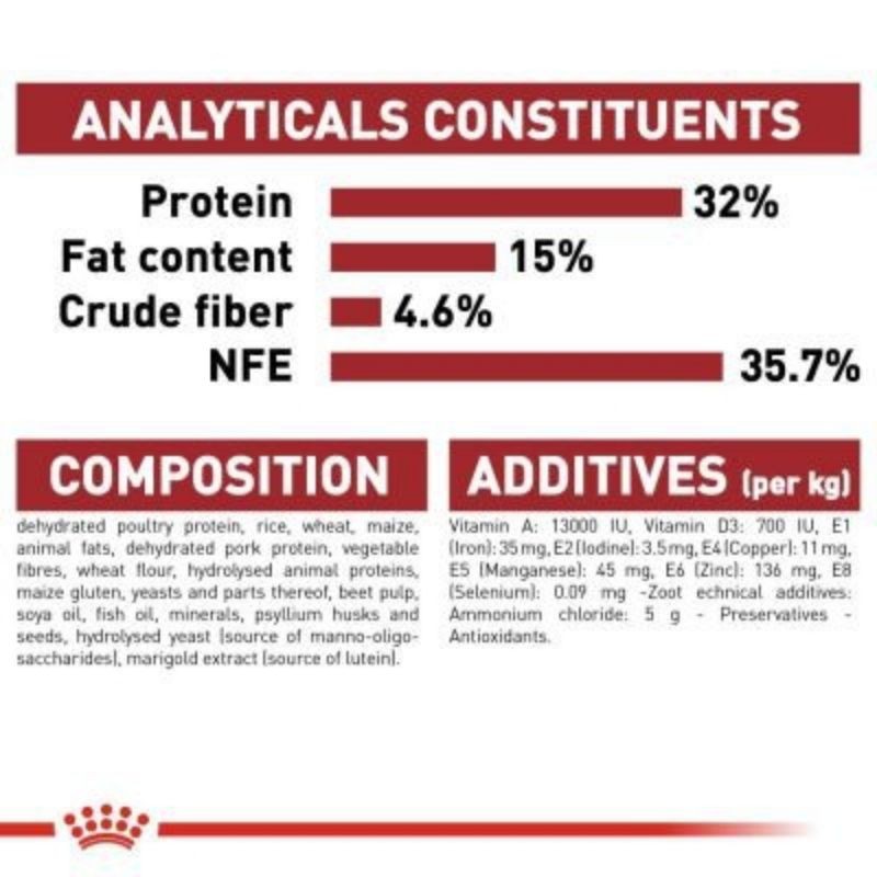 Royal Canin Fit 32 2kg Freshpack Makanan Kucing Fit 32 Royal Canin