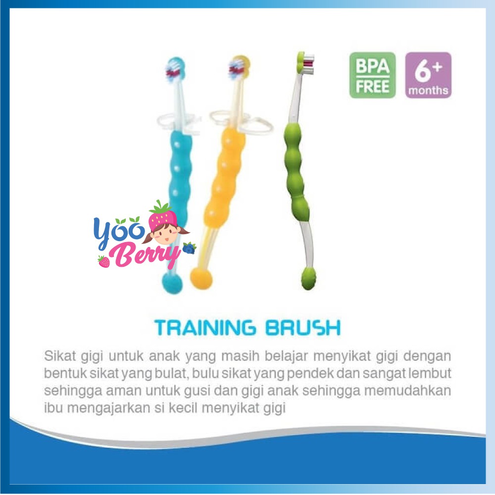 MAM Baby Training Brush Sikat Gigi Bayi 6m+ MAM009 Berry Mart