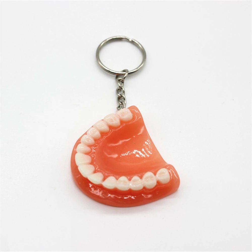 Lanfy Tooth Key Chain Dental Decoration Simulasi Kreatif Resin Bentuk Gigi Gigi Palsu Key Chain