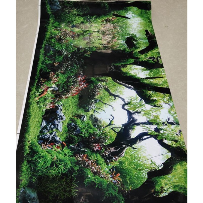 Background Aquarium 50cm Tinggi Aquarium