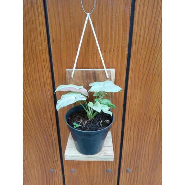 RAK BUNGA | TEMPAT LILIN | HIASAN DINDING