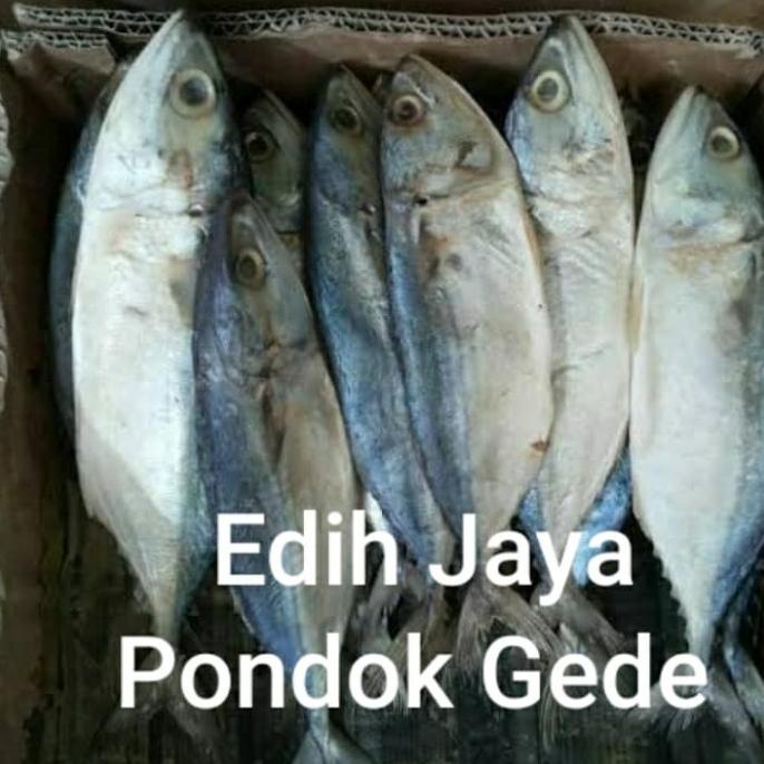 

[COD] Ikan Asin Peda Putih Netto 1 Kg. [COD]