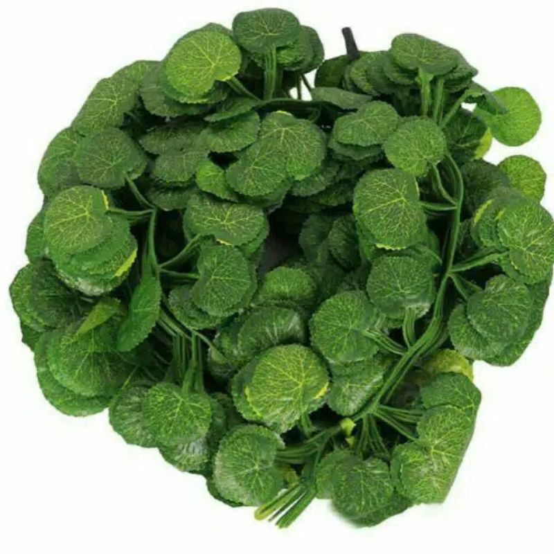 Grosir Promo 12pcs Daun Rotan Rambat Mangkok Anggur Bulat Begonia Lotus Kecil Harga per Satu 1 Lusin