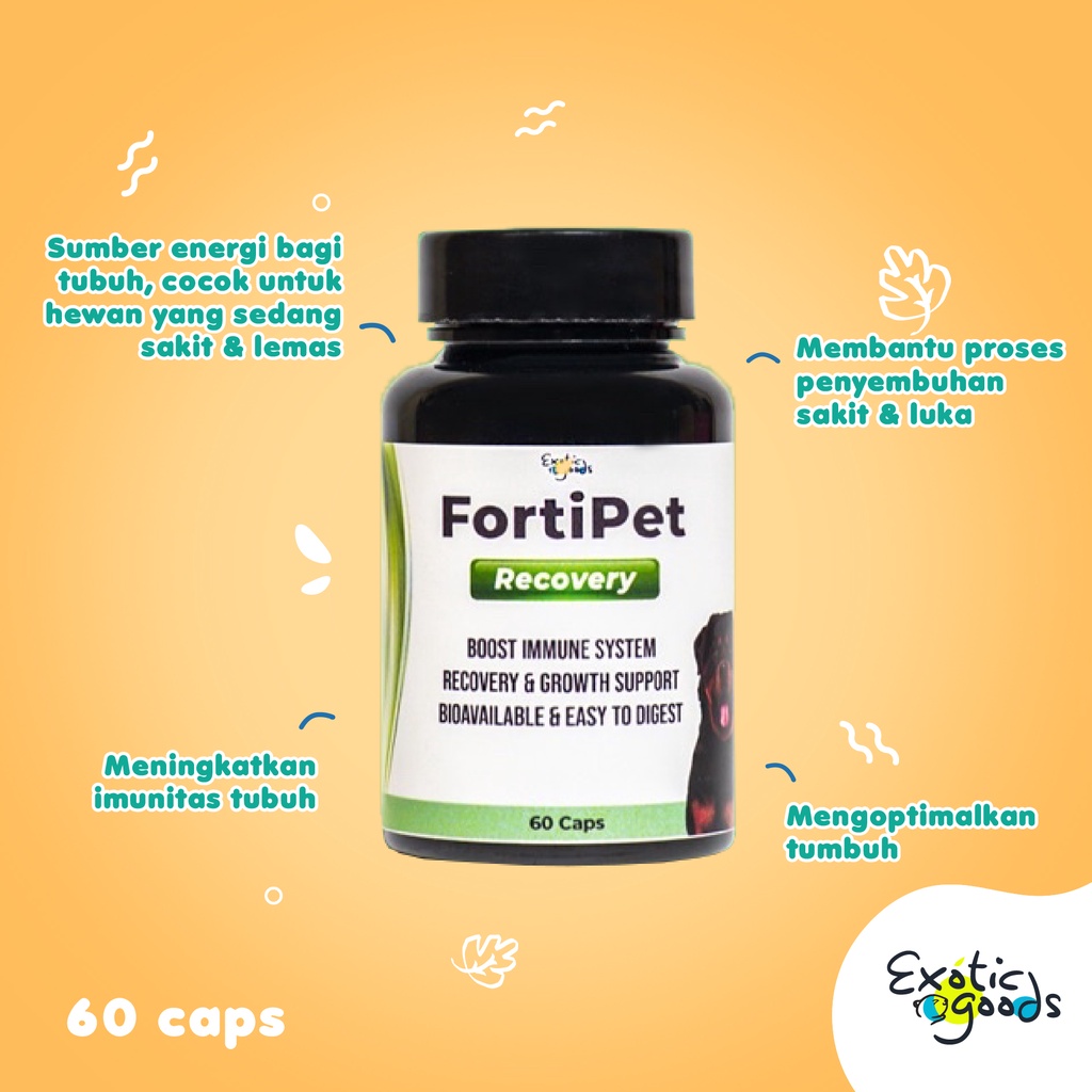 FORTIPET RECOVERY 60 KAPSUL SUPLEMEN PENINGKAT IMUN ANJING IMUN KUCING OBAT PENYEMBUH LUKA ANJING VITAMIN ENERGI ANJING MENINGKATKAN IMUNITAS HEWAN VITAMIN ANJING VITAMIN KUCING TRANS FACTOR KUCING TRANS FACTOR ANJING