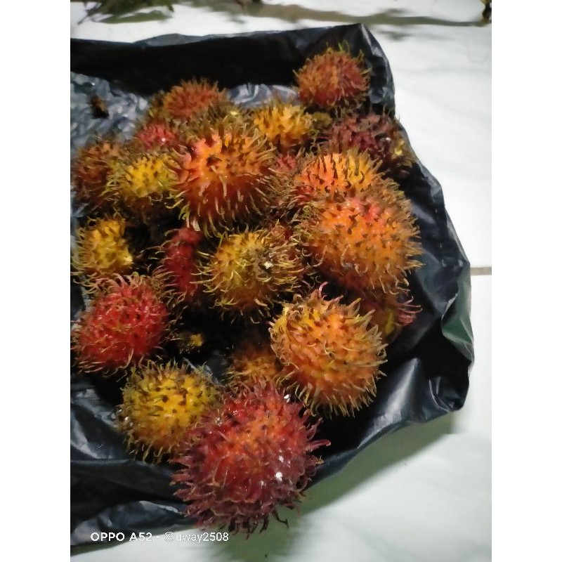 

rambutan