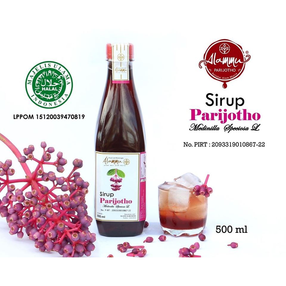 

Terlaris sirup parijoto muria penyubur kandungan dan promil alami dari buah parijotho segar 500 ml