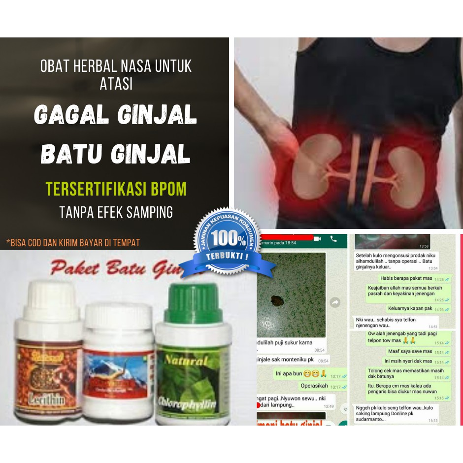 Paket Obat Herbal Gagal Ginjal Batu Ginjal NASA Original