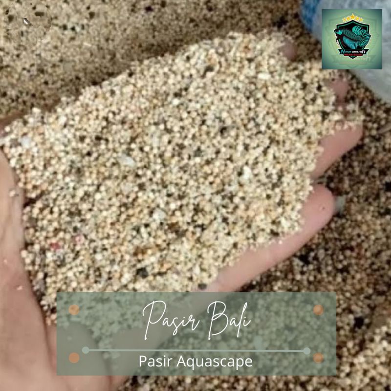 Pasir Bali/Pasir Bali Aquascape/Pasir Bali Untuk Aquascape