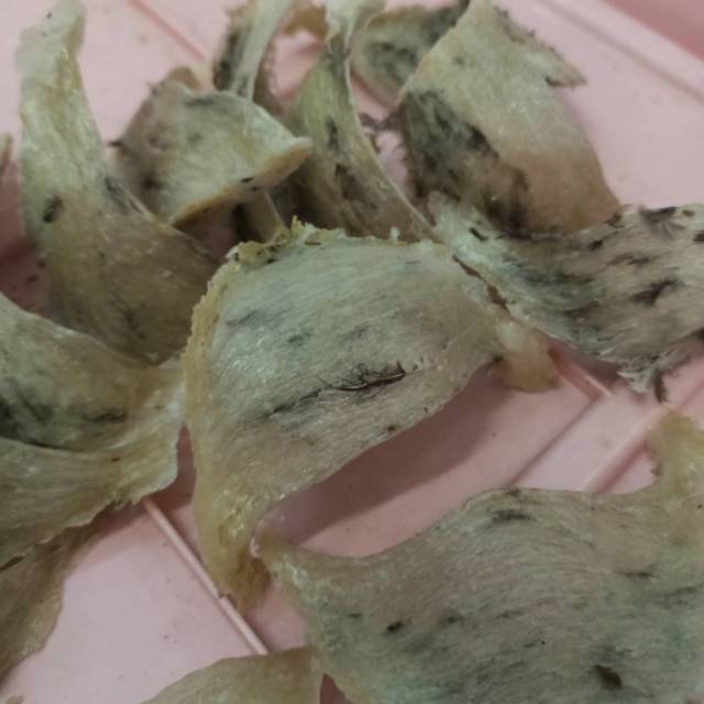 

Sarang Burung Walet Kotor/ Utuh/ Yenwo/ Bird Nest 50gr