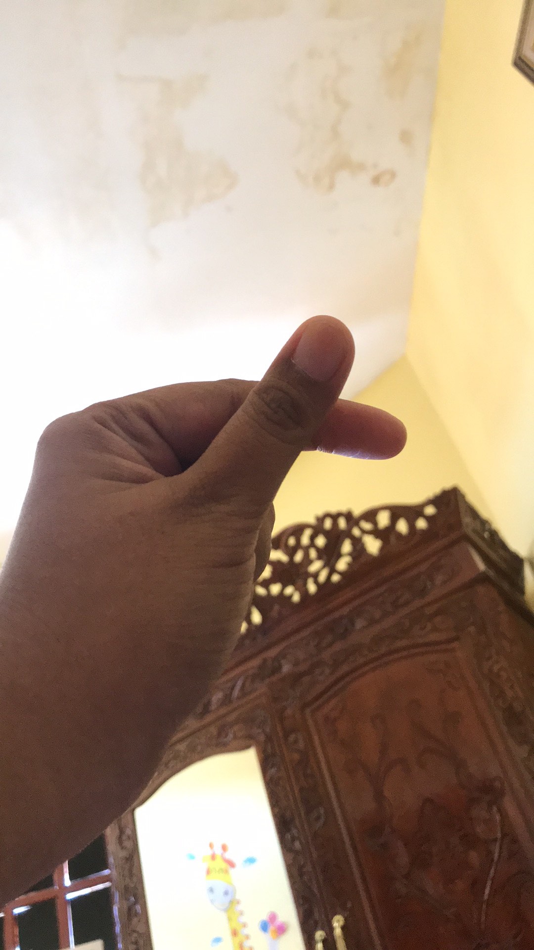 Sikat Spon Cuci Botol Gelas Panjang - Lapakkusby