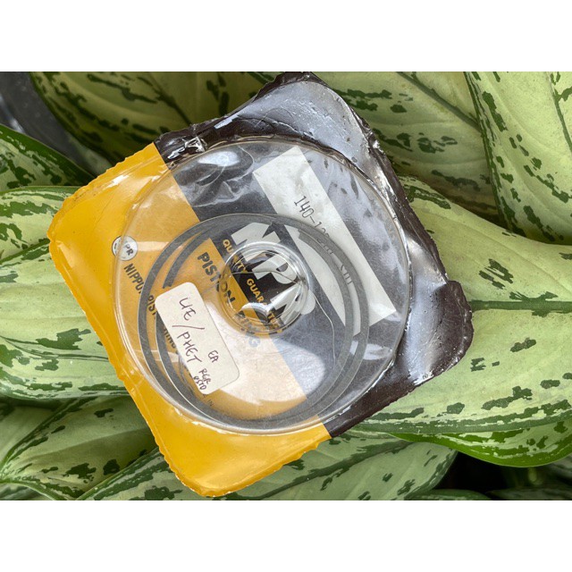 Ring Seher RGR Oversize STD NPP