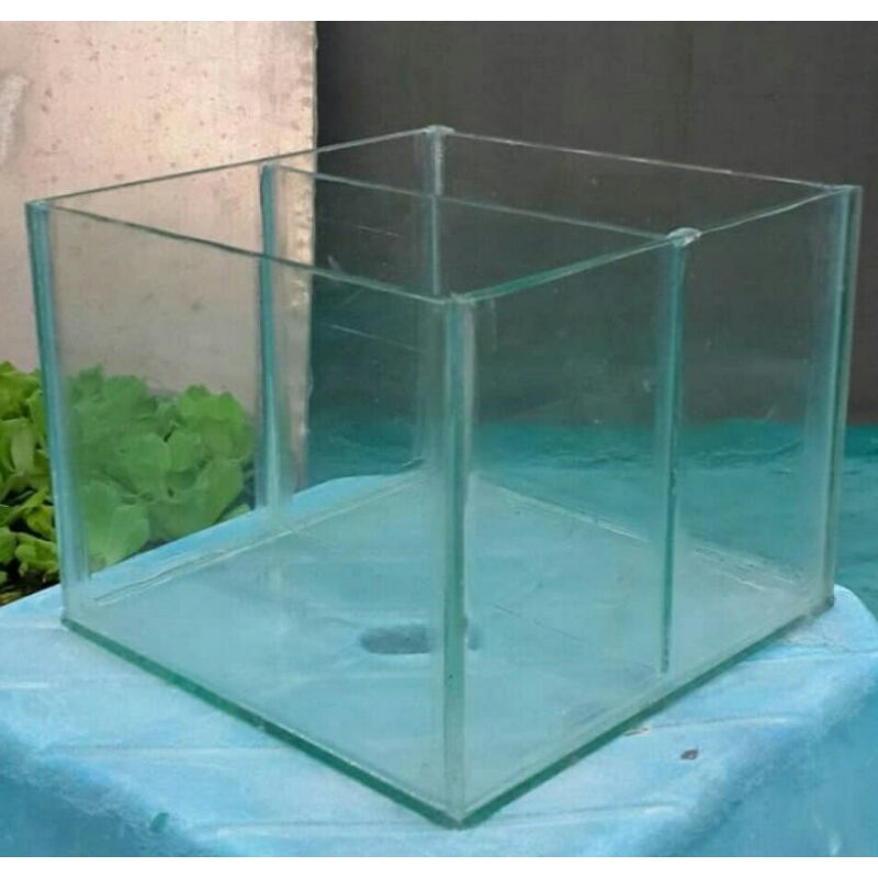 Aquarium kaca sekat aquascape ikan guppy cupang