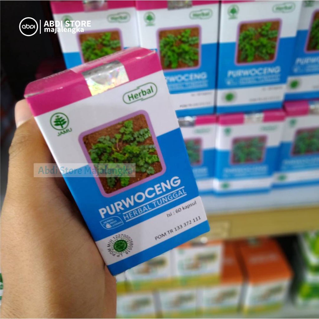 Herbal DAUN PURWOCENG- Kapsul PURWOCENG - HIU PURWOCENG- HERBAL STAMIN