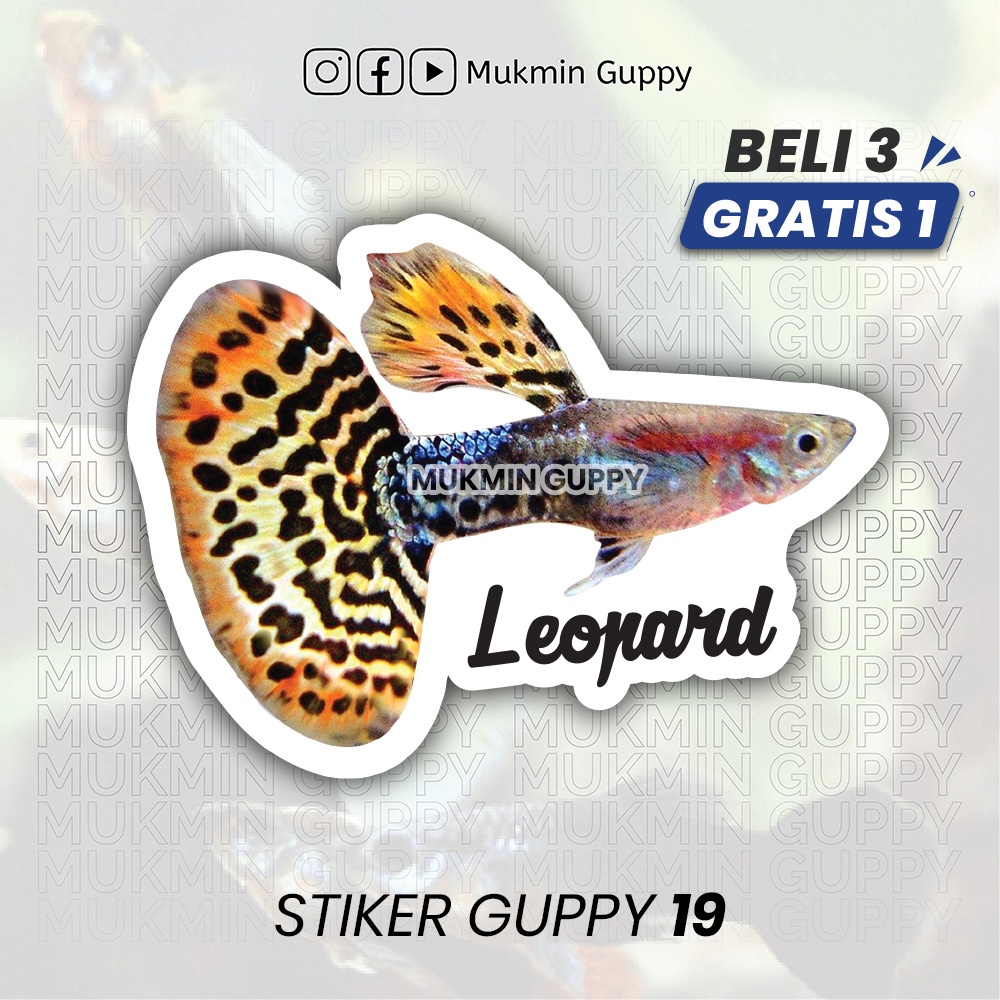 

Stiker Guppy (19) Leopard