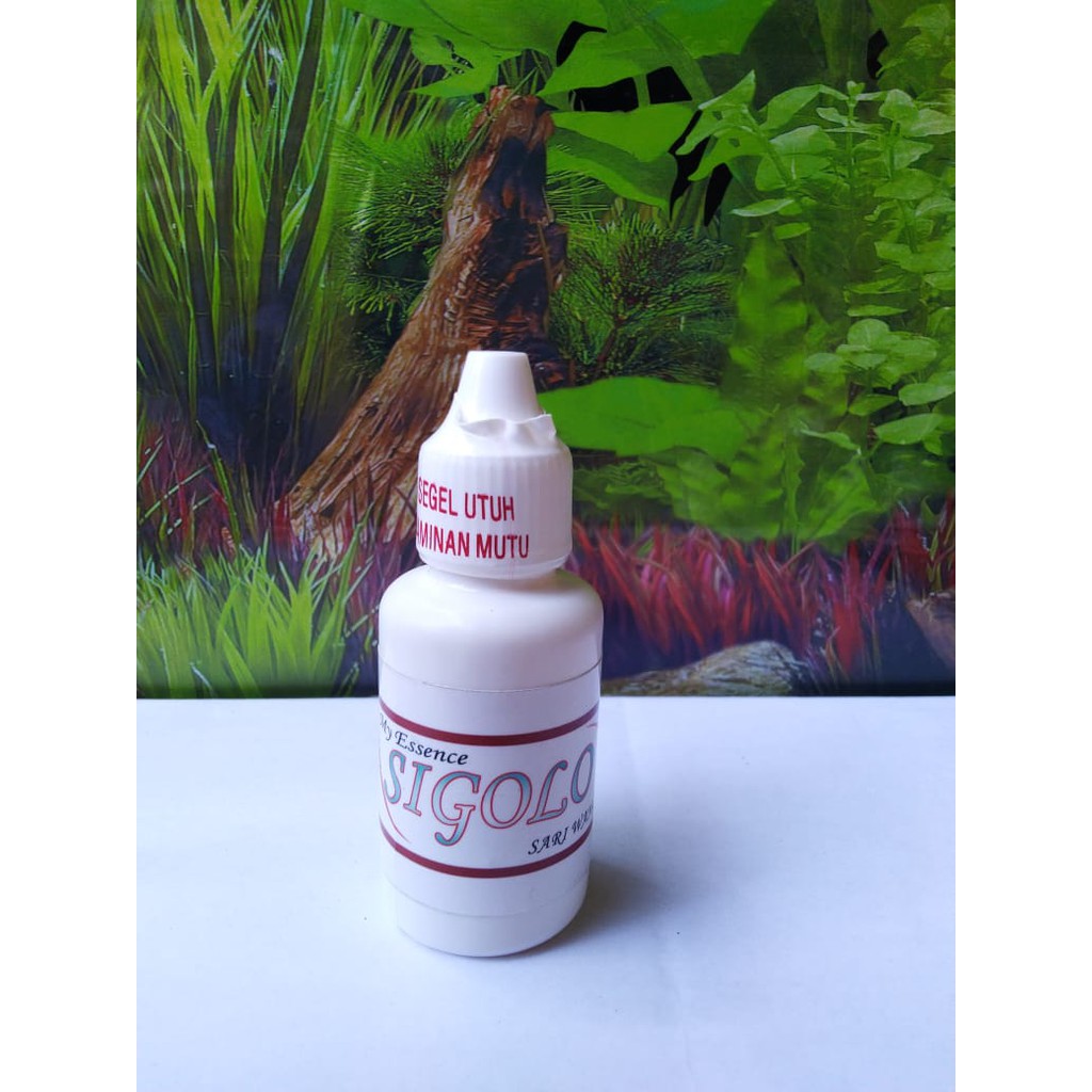 Essen Sigolo Perangsang Ikan Mas