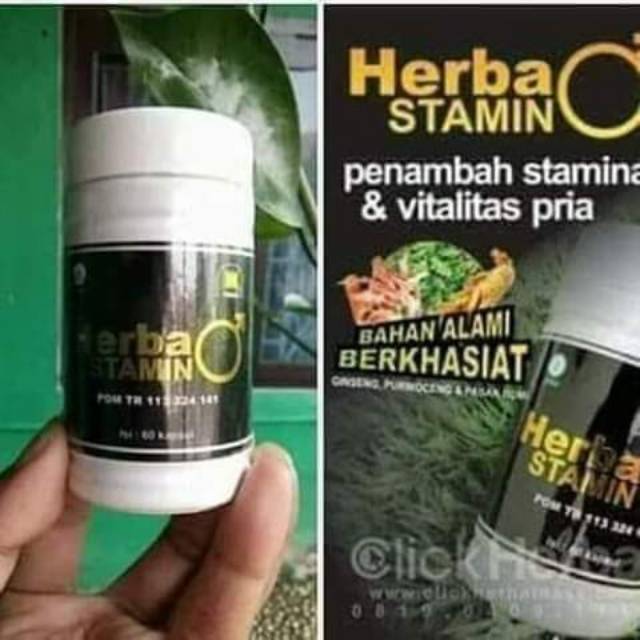 Herba Stamin