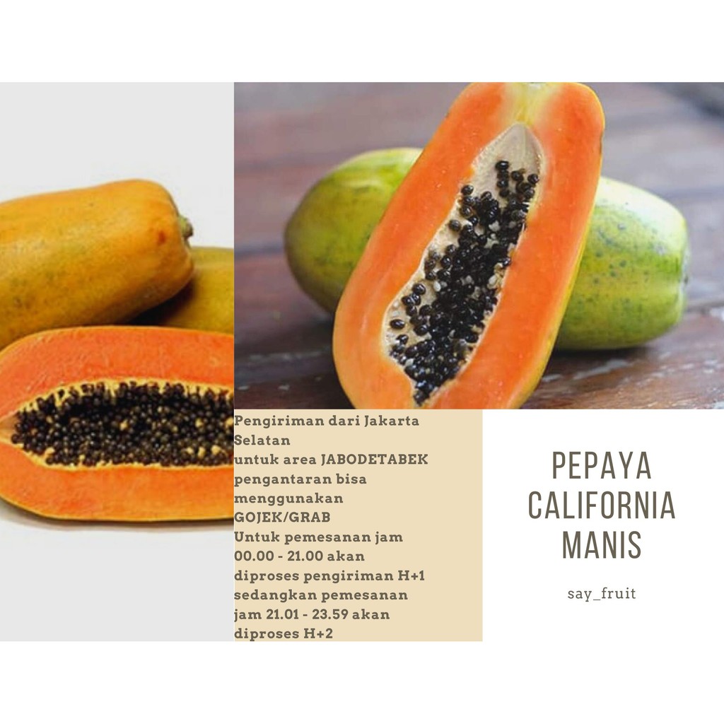 

Pepaya California / Buah Pepaya Segar / Papaya