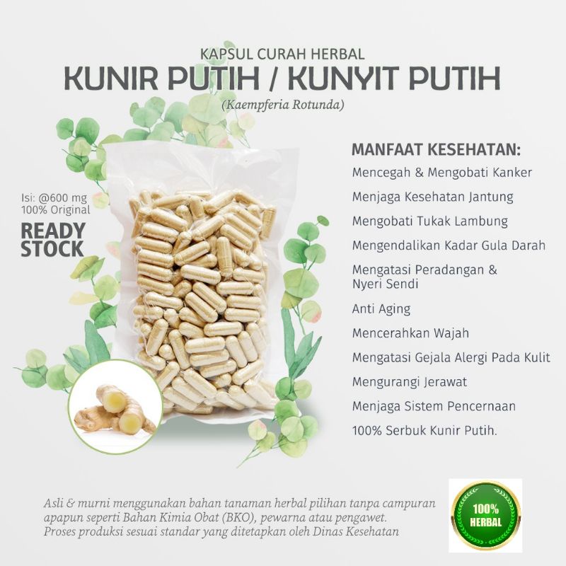 

Kunir Putih/Kunyit Putih Curcuma Mangga 100% Asli Organik Empon Empon Apotek Hijau