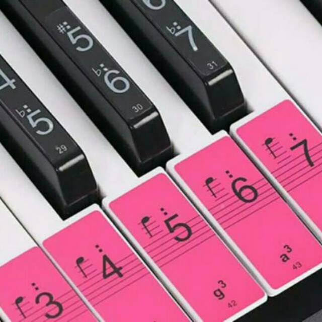 Sticker piano keyboard Stiker label piano warna warni 88 key stiker tuts piano SP88Color