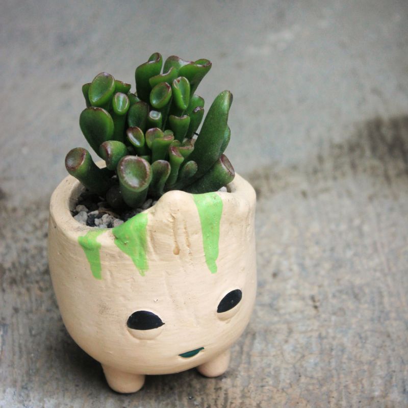 Pot terracotta baby groot kaktus 6cm pot gerabah lucu