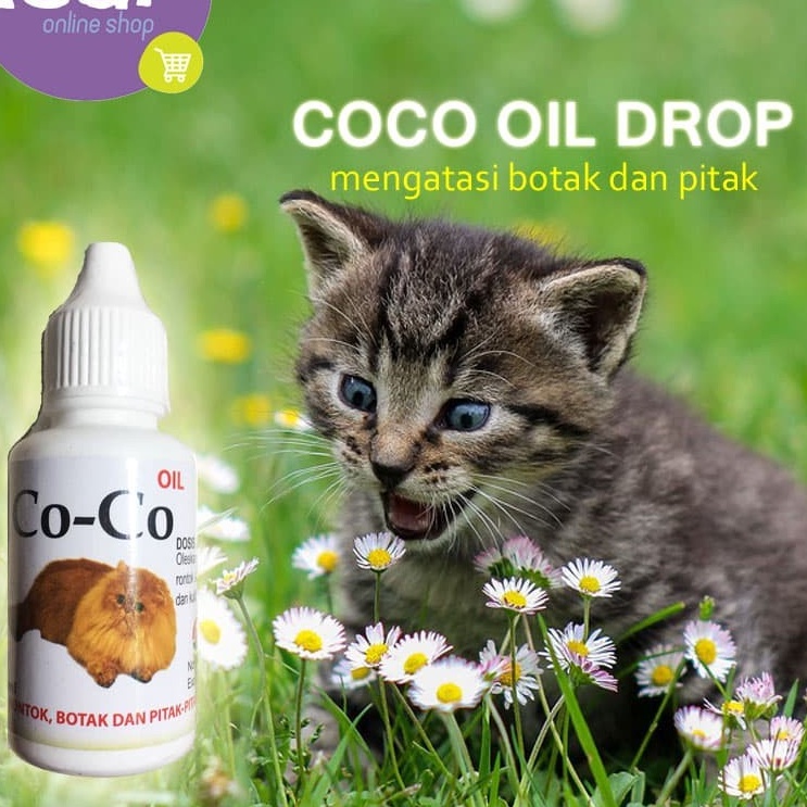 COCO OIL CAT 30ML Obat Kucing Anti Bulu Rontok Botak Pitak Co Co Oil