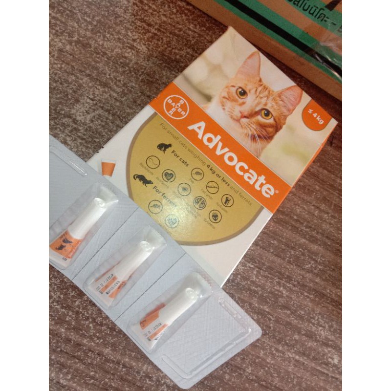 advocate cat 4kg obat kutu kucing | 1 tube 0.4ml