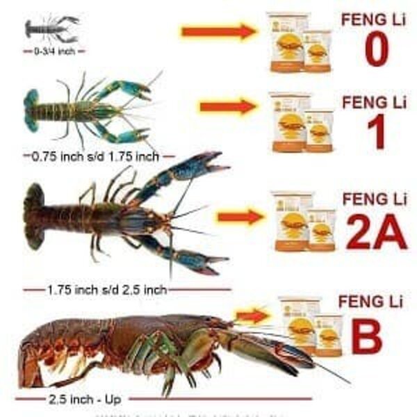 Feng Li Fengli FL 2a 250gr Pakan Pelet Udang Lobster Burayak Ikan FL2a