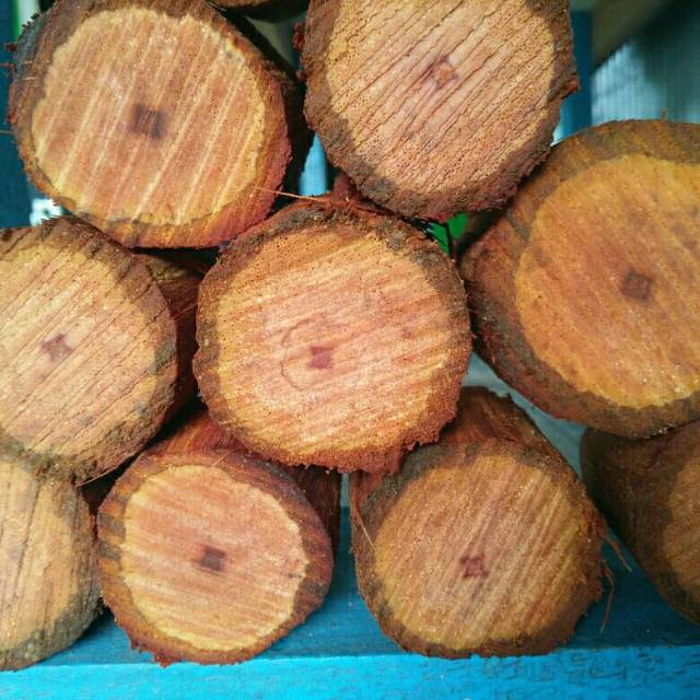 

Bajakah kelelawit/ bajakah merah