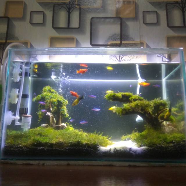 Ugf Aquascape