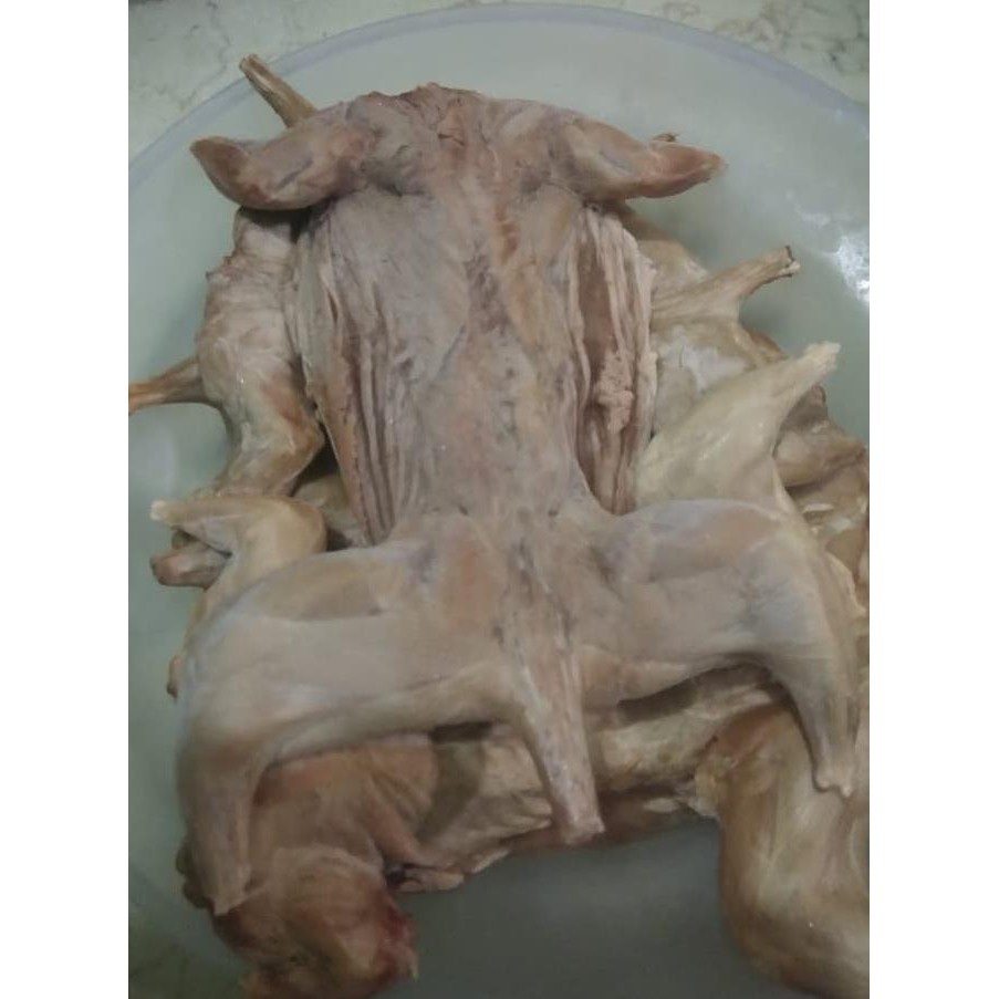Daging bajing tupai